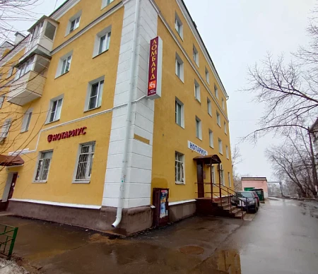 Лев  просп. Ленина, 17